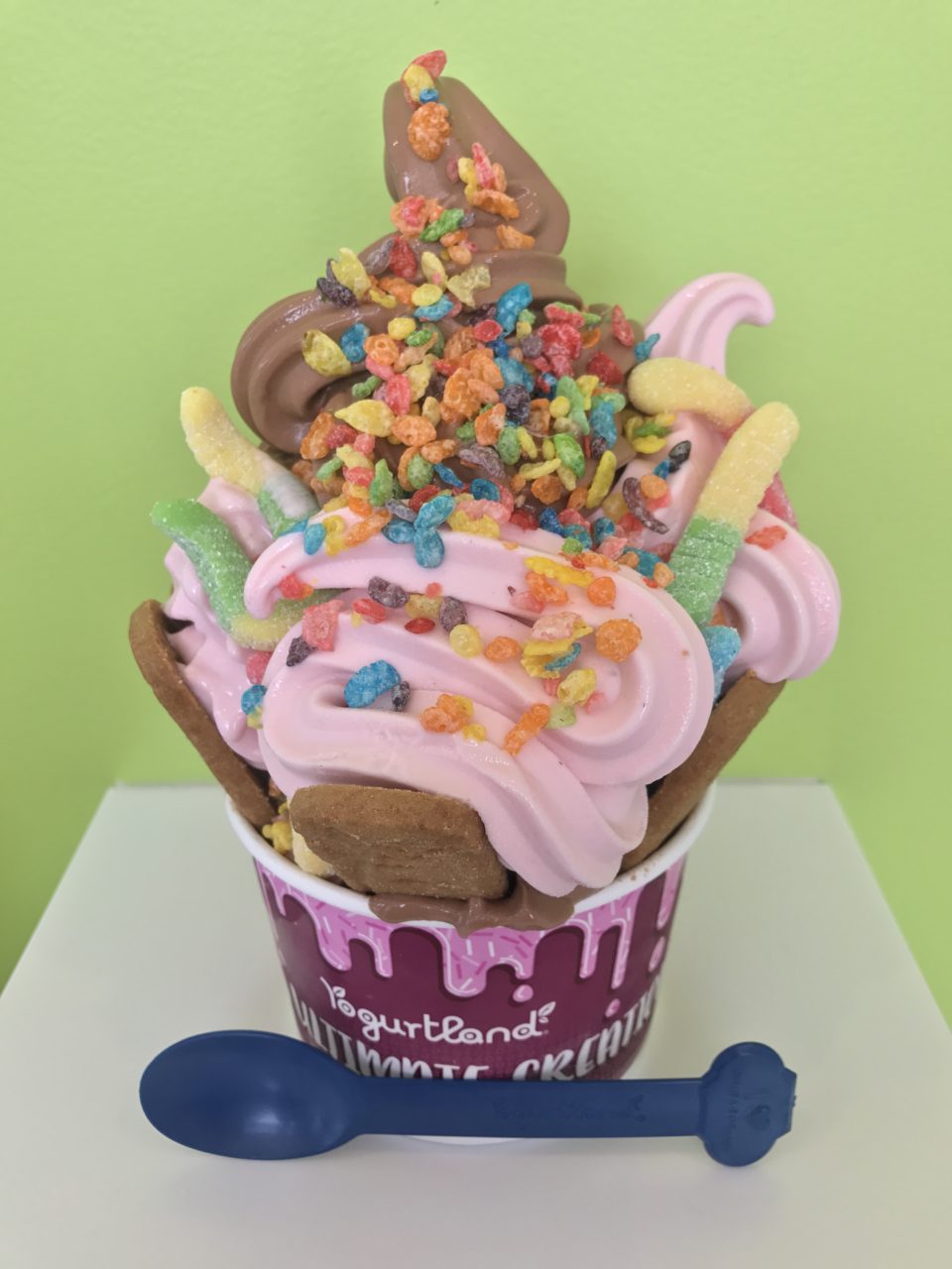 Yogurtland, Ultimate Creation Cup DA' STYLISH FOODIE