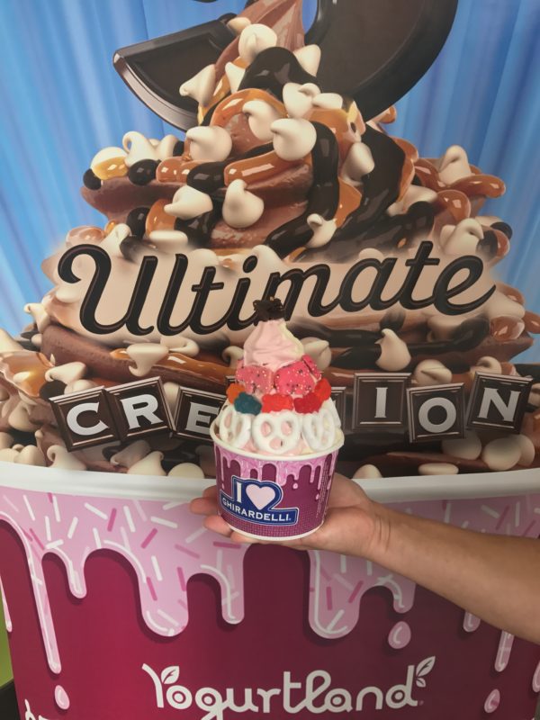 Yogurtland, Ultimate Creation Cup DA' STYLISH FOODIE