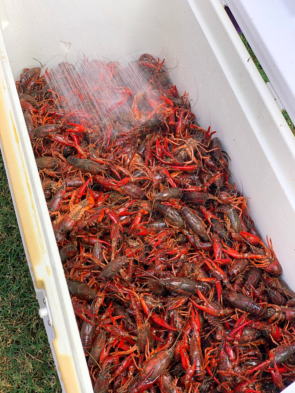 Zatarain's Sausage Crawfish Boil DA' STYLISH FOODIE