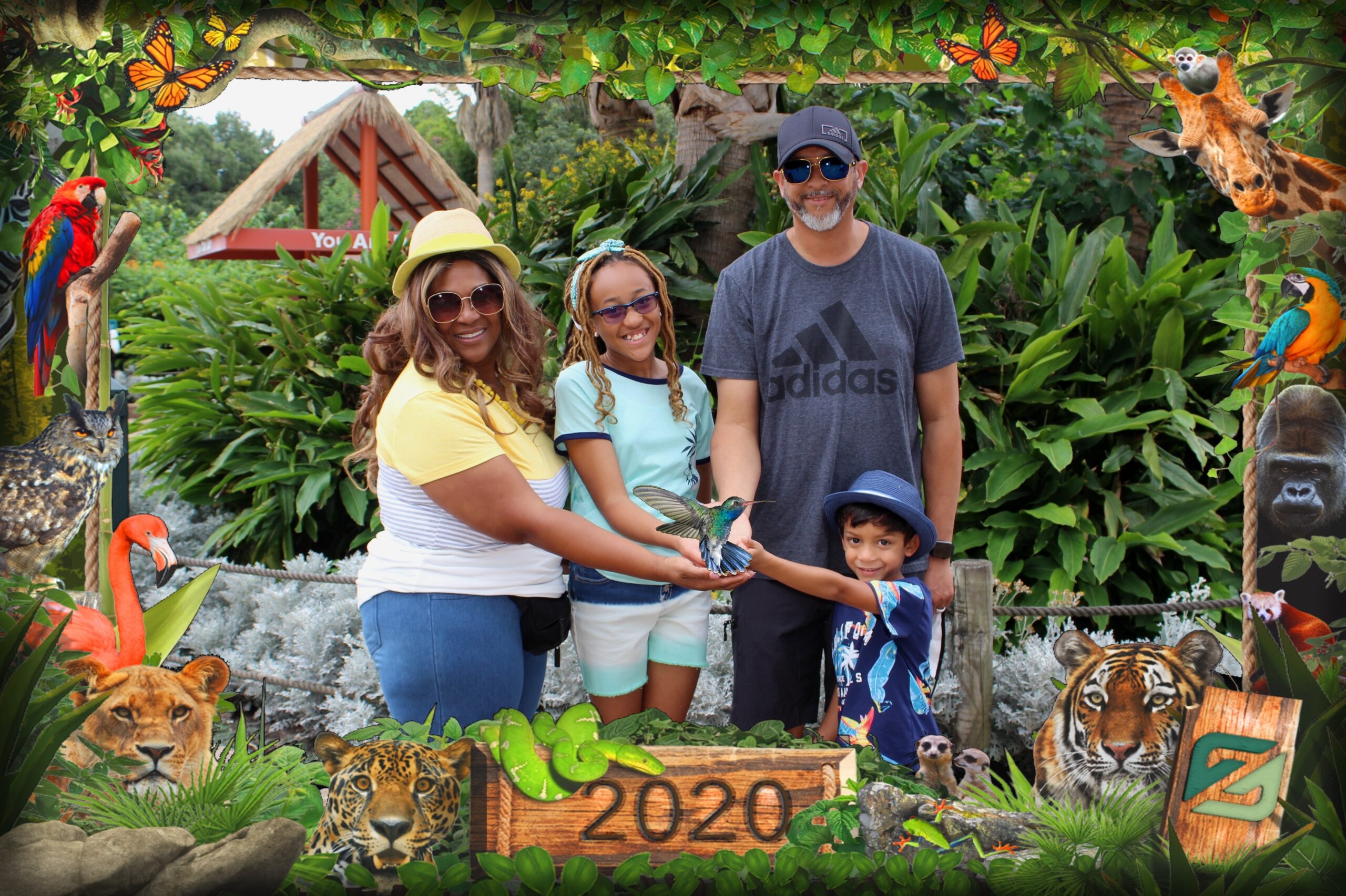 Family Day at the Zoo