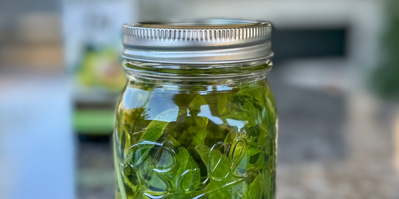 Basil Oil